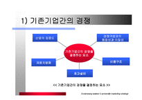 금호타이어 마케팅전략-10
