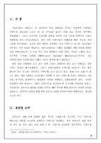 [국제마케팅] 글로벌 마케팅으로성공한 로만손(ROMANSON)의 성공사례분석-3