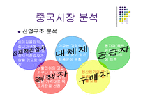 [국제경영실패사례] 보르네오의 국제경영 실패사례-12