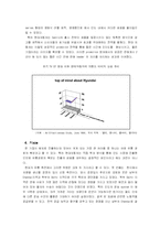 [국제경영전략] 현대자동차의 해외직접투자전략 - 인도-18