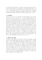 [국제경영전략] 현대자동차의 해외직접투자전략 - 인도-20