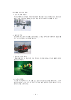 [리조트경영론] 스키리조트에 대한 연구 -용평리조트와 사호로리조트를 중심-18