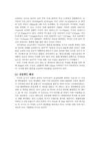 미샤 마케팅전략-9