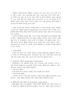 미샤 마케팅전략-16