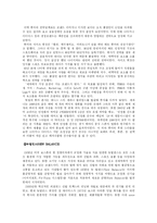 [글로벌브랜드] 스포츠 용품 브랜드의 세계적 동향-4