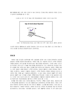 [국제경영전략] 현대자동차의 인도진출사례-14