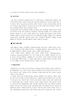 [마케팅] 현대자동차의 신제품 개발 전략 -산타페(싼타페)-8