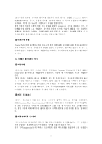 [마케팅] 현대자동차의 신제품 개발 전략 -산타페(싼타페)-11