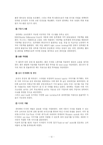 [마케팅] 현대자동차의 신제품 개발 전략 -산타페(싼타페)-12