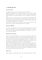 [마케팅] 현대자동차의 신제품 개발 전략 -산타페(싼타페)-13