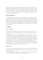 [마케팅] 현대자동차의 신제품 개발 전략 -산타페(싼타페)-14