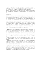 [비교경영] 중국 자동차시장 내 경쟁 기업-12