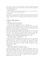 [국제마케팅] 진로소주 일본시장 진로재팬의 성공사례-4