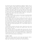 [국제마케팅] 진로소주 일본시장 진로재팬의 성공사례-10