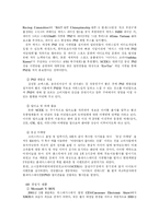 [국제마케팅] 소니 플레이스테이션2 사례-14