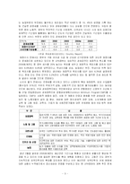 [국제경영전략] 현대자동차의 인도 FDI-3