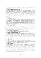 [국제경영전략] 현대자동차의 인도 FDI-9