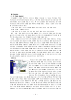 [국제경영전략] 현대자동차의 인도 FDI-14