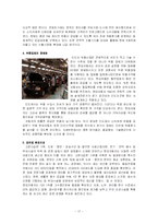 [국제경영전략] 현대자동차의 인도 FDI-17