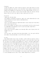 [국제마케팅](주)레인콤 아이리버의 MP3(pmp)개발 사례 연구-8