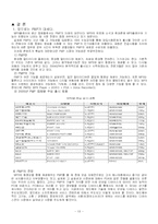 [국제마케팅](주)레인콤 아이리버의 MP3(pmp)개발 사례 연구-15