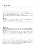 [국제마케팅](주)레인콤 아이리버의 MP3(pmp)개발 사례 연구-16