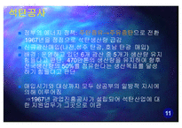 대한광업진흥공사 현 위치 파악과 나아가야 할 방향 -석탄공사와 비교-12
