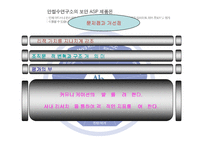 안철수리더십 레포트-13