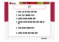 [경영학] `미샤(MISSHA)`의 현재 위기에 대한 마케팅 분석과 해결방안-2