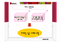 [경영학] `미샤(MISSHA)`의 현재 위기에 대한 마케팅 분석과 해결방안-4