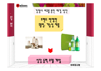 [경영학] `미샤(MISSHA)`의 현재 위기에 대한 마케팅 분석과 해결방안-18