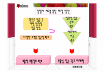 [경영학] `미샤(MISSHA)`의 현재 위기에 대한 마케팅 분석과 해결방안-19