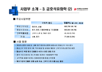 [경영전략] 금호아시아나그룹 사례 분석 -BCG Matrix-13