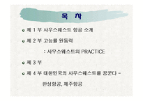 [경영학] 사우스웨스트 방식 -인간관계가 중심이 되는 경영전략-3