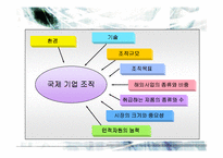 [국제경영] 국제기업의 조직과 통제-5