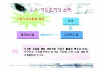 [국제경영] 국제기업의 조직과 통제-6
