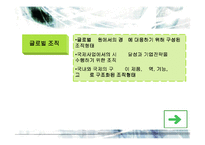 [국제경영] 국제기업의 조직과 통제-14