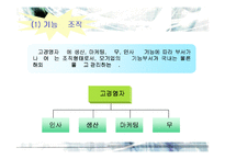 [국제경영] 국제기업의 조직과 통제-16