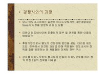 [국제경영전략] 대상㈜의 대 아지노모토 아시아 경쟁전략-9