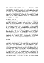 장애인복지의 의의와 현대 사회에서의 장애인 복지의 이념과 가치에 대하여 설명-5