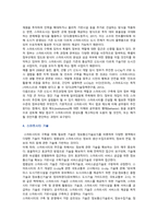 스마트시티의 목적, 사례 및 안전도시의 개선방안-6