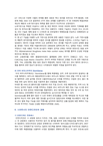스마트시티의 목적, 사례 및 안전도시의 개선방안-9