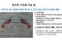 	a++칭찬받은 과제 수술간호 백내장 ppt 프레젠테이션 -안구의 구조와 기능 -정의 -원인 및 병태생리 -위험요인 -분류 -임상증상 -진단과 치료방법 -수술종류 -수술 금기 사항 -수술과정 -백내장 유화술 -인공후방수정체 삽입술 -수술 후 간호 -예방간호 -해외논문 -Q & A -출처-4