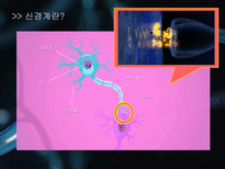 a++++ 칭찬받은 과제 신경계 뇌종양 뇌하수체 종양 수술간호 ppt 프레젠테이션 신경계란? / 뇌 / 뇌하수체 /뇌종양 /뇌하수체 종양 및 증상/경접형동 접근법 TSA/수술 과정/수술 전,후 간호/합병증 (해외논문)/합병증 예방 간호/퇴원 교육-3