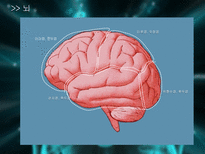 a++++ 칭찬받은 과제 신경계 뇌종양 뇌하수체 종양 수술간호 ppt 프레젠테이션 신경계란? / 뇌 / 뇌하수체 /뇌종양 /뇌하수체 종양 및 증상/경접형동 접근법 TSA/수술 과정/수술 전,후 간호/합병증 (해외논문)/합병증 예방 간호/퇴원 교육-4
