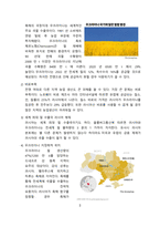 러시아-우크라이나 침공과 식량위기 [스태그플레이션,러시아,우크라,식량위기]-3