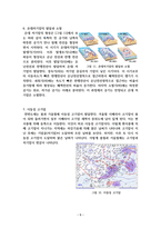 기압과 날씨 변화-5