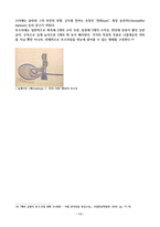 아랍 캘리그라피의 역사-13