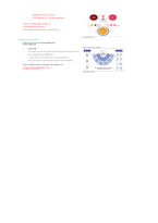 엠로-3