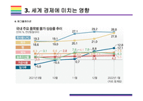 러시아-우크라이나 전쟁이 국내외 경제에 미치는 영향 [우크라,러시아,냉전시대,전쟁,러-우]-19